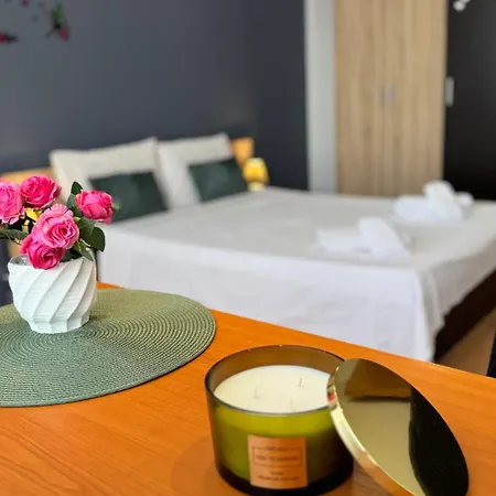 Apartment Sholiday Modern La Etajul 8 Cu Panoramica In Timisoara