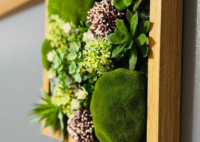 Sholiday Modern La Etajul 8 Cu Panoramica In